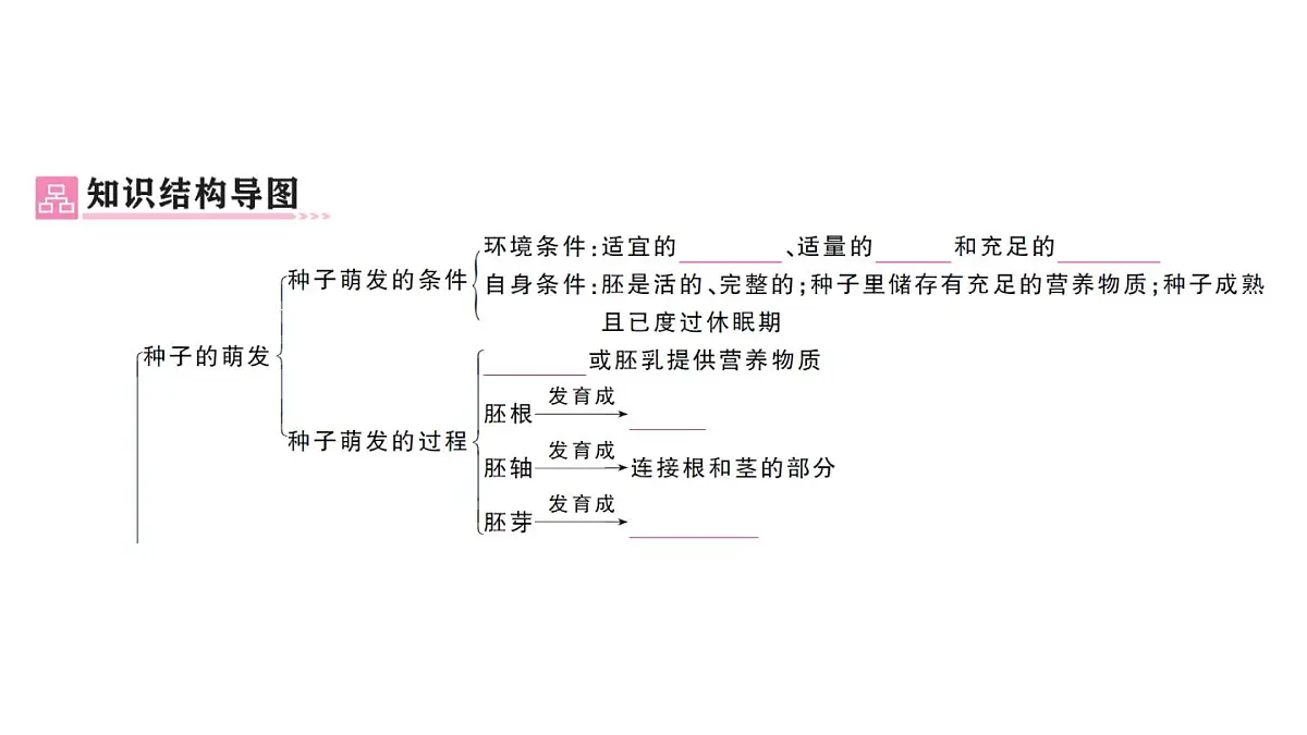 初中生物新人教版七年级下册第三单元第一章总结训练作业课件2025春第2页