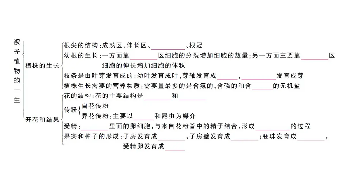 初中生物新人教版七年级下册第三单元第一章总结训练作业课件2025春第3页