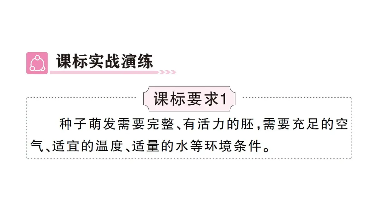 初中生物新人教版七年级下册第三单元第一章总结训练作业课件2025春第4页