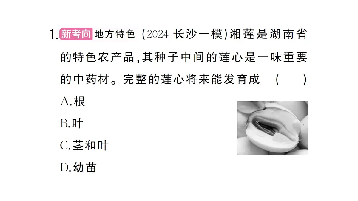 初中生物新人教版七年级下册第三单元第一章总结训练作业课件2025春第5页