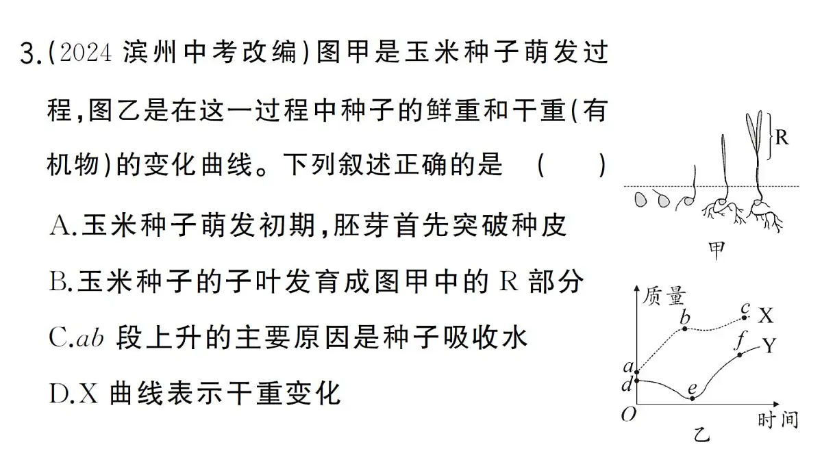 初中生物新人教版七年级下册第三单元第一章总结训练作业课件2025春第7页