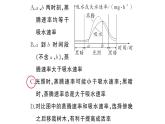 初中生物新人教版七年級(jí)下冊第三單元第二章微專題二 三大生理作用有關(guān)的曲線分析作業(yè)課件2025春