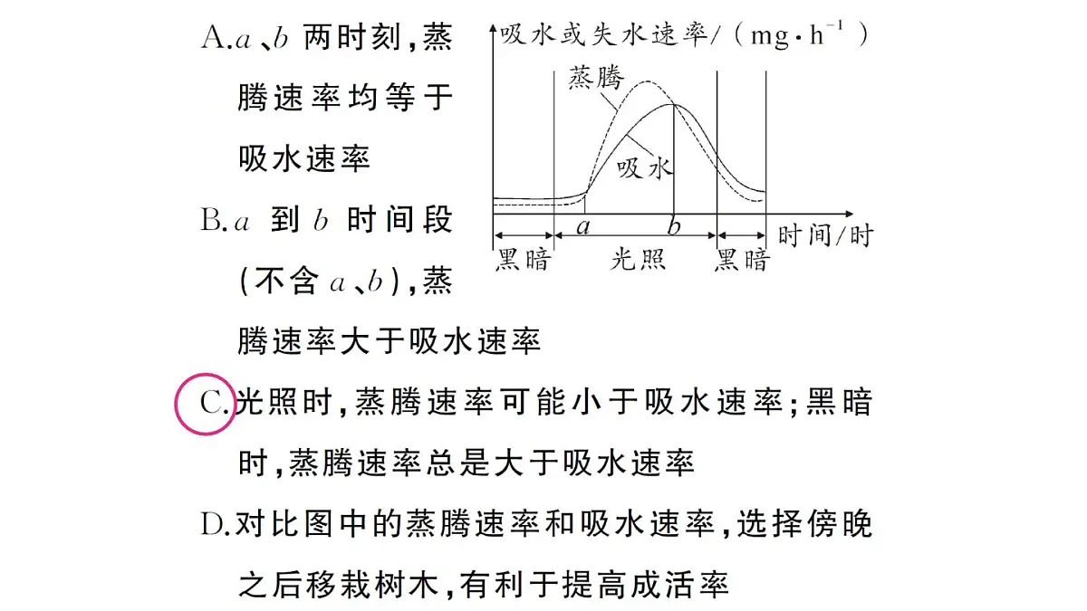初中生物新人教版七年级下册第三单元第二章微专题二 三大生理作用有关的曲线分析作业课件2025春第3页