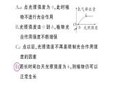 初中生物新人教版七年級(jí)下冊第三單元第二章微專題二 三大生理作用有關(guān)的曲線分析作業(yè)課件2025春