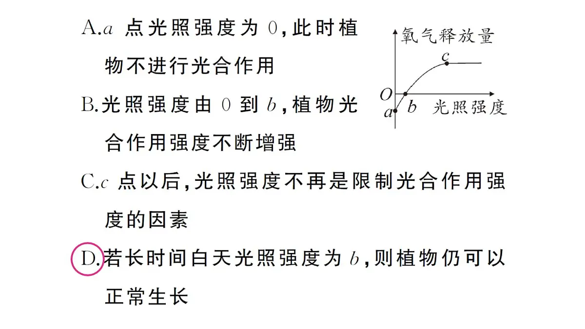 初中生物新人教版七年级下册第三单元第二章微专题二 三大生理作用有关的曲线分析作业课件2025春第5页