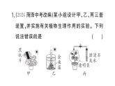 初中生物新人教版七年級(jí)下冊第三單元第二章微專題三 三大生理作用有關(guān)的實(shí)驗(yàn)探究作業(yè)課件2025春