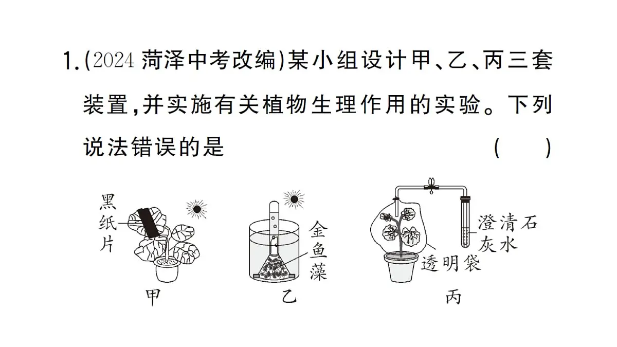 初中生物新人教版七年级下册第三单元第二章微专题三 三大生理作用有关的实验探究作业课件2025春第2页