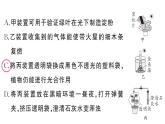 初中生物新人教版七年級(jí)下冊第三單元第二章微專題三 三大生理作用有關(guān)的實(shí)驗(yàn)探究作業(yè)課件2025春