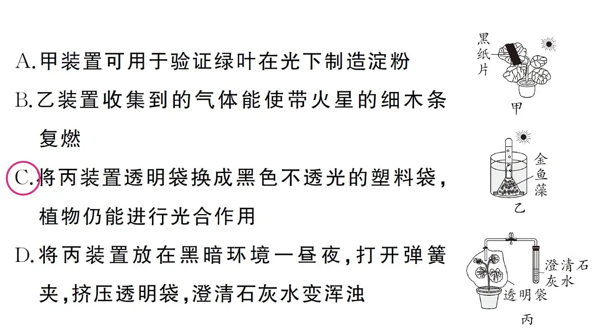 初中生物新人教版七年级下册第三单元第二章微专题三 三大生理作用有关的实验探究作业课件2025春第3页