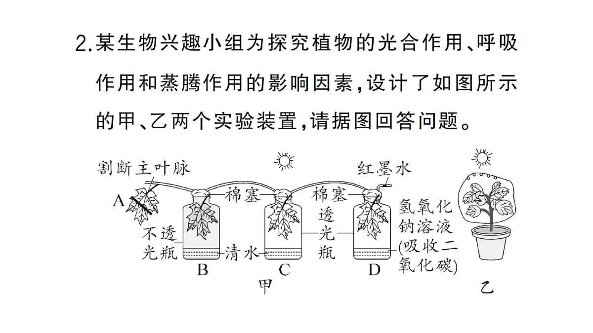 初中生物新人教版七年级下册第三单元第二章微专题三 三大生理作用有关的实验探究作业课件2025春第4页