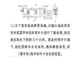 初中生物新人教版七年級(jí)下冊第三單元第二章微專題三 三大生理作用有關(guān)的實(shí)驗(yàn)探究作業(yè)課件2025春