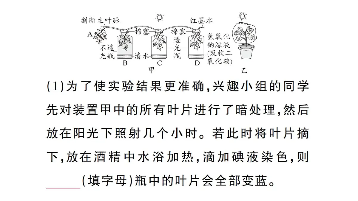 初中生物新人教版七年级下册第三单元第二章微专题三 三大生理作用有关的实验探究作业课件2025春第5页