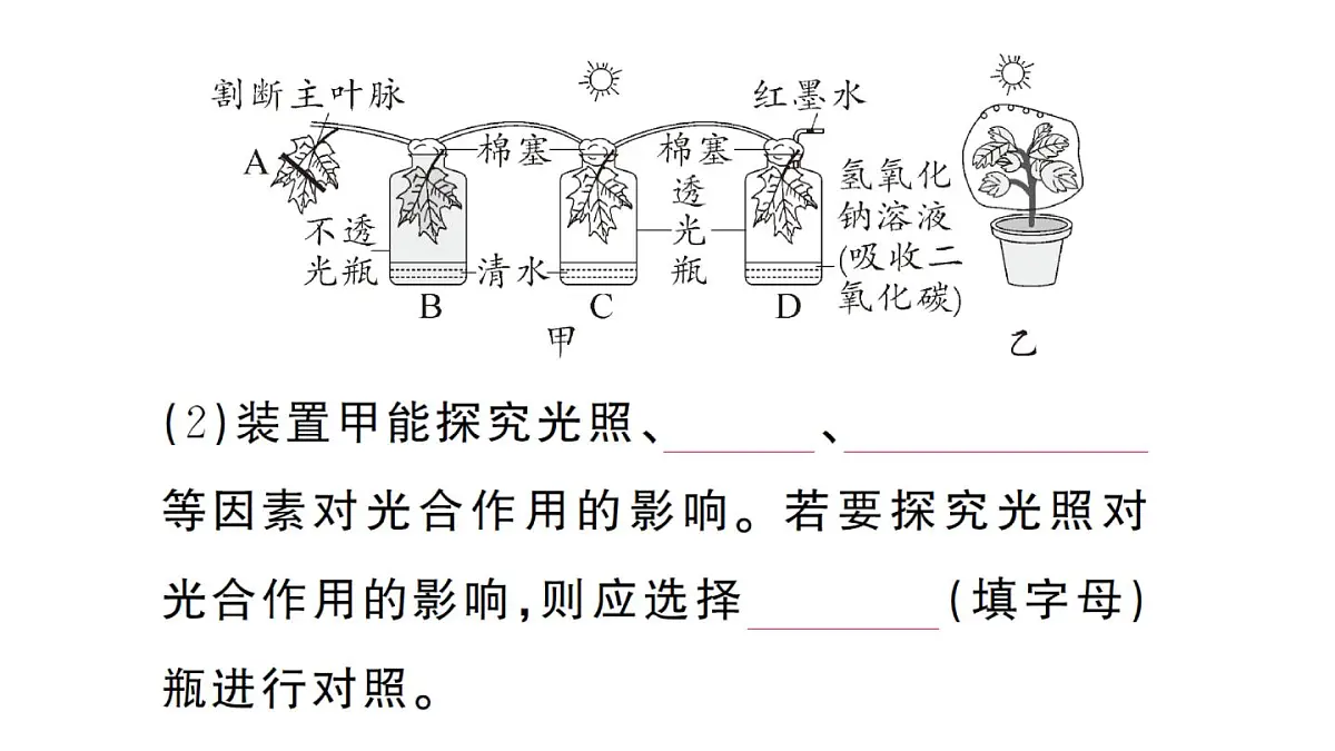 初中生物新人教版七年级下册第三单元第二章微专题三 三大生理作用有关的实验探究作业课件2025春第6页