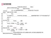 初中生物新人教版七年級(jí)下冊第三單元第二章總結(jié)訓(xùn)練作業(yè)課件2025春