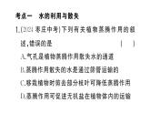 初中生物新人教版七年級(jí)下冊第三單元第二章總結(jié)訓(xùn)練作業(yè)課件2025春