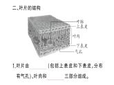 初中生物新人教版七年級下冊第三單元第二章第一節(jié) 水的利用與散失作業(yè)課件2025春