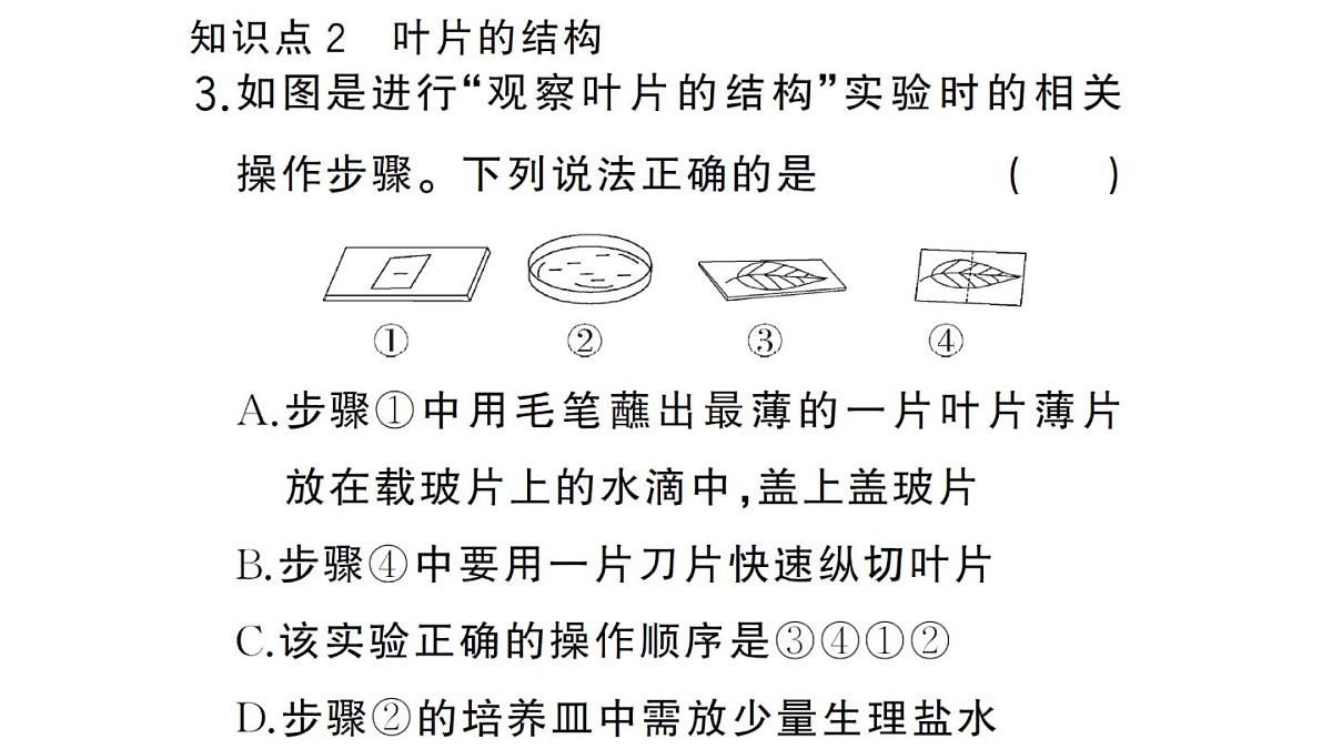 初中生物新人教版七年级下册第三单元第二章第一节 水的利用与散失作业课件2025春第8页