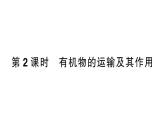 初中生物新人教版七年級下冊第三單元第二章第二節(jié)第二課時 有機物的運輸及其作用作業(yè)課件2025春