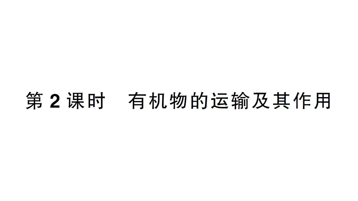 初中生物新人教版七年级下册第三单元第二章第二节第二课时 有机物的运输及其作用作业课件2025春第1页
