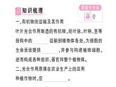 初中生物新人教版七年級下冊第三單元第二章第二節(jié)第二課時 有機物的運輸及其作用作業(yè)課件2025春