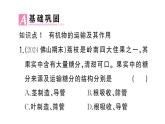 初中生物新人教版七年級下冊第三單元第二章第二節(jié)第二課時 有機物的運輸及其作用作業(yè)課件2025春