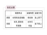初中生物新人教版七年級下冊第三單元第二章第二節(jié)第二課時 有機物的運輸及其作用作業(yè)課件2025春
