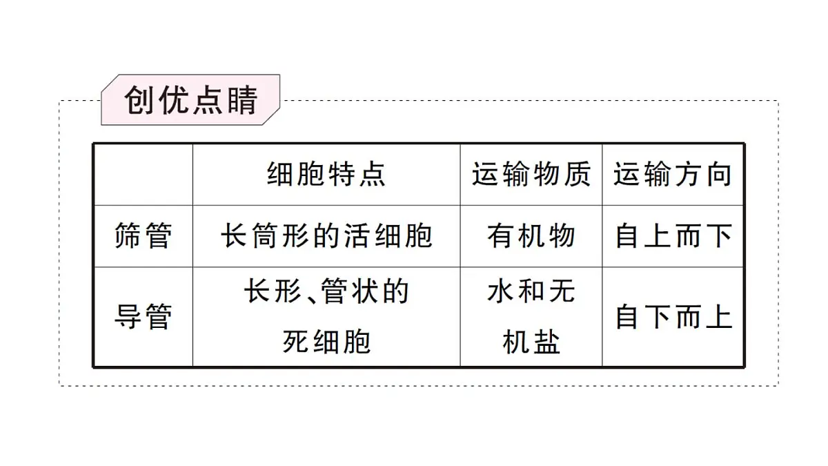 初中生物新人教版七年级下册第三单元第二章第二节第二课时 有机物的运输及其作用作业课件2025春第5页