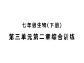 初中生物新人教版七年級(jí)下冊第三單元第二章綜合訓(xùn)練作業(yè)課件2025春