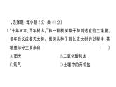 初中生物新人教版七年級(jí)下冊第三單元第二章綜合訓(xùn)練作業(yè)課件2025春