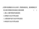 初中生物新人教版七年級(jí)下冊第三單元第二章綜合訓(xùn)練作業(yè)課件2025春