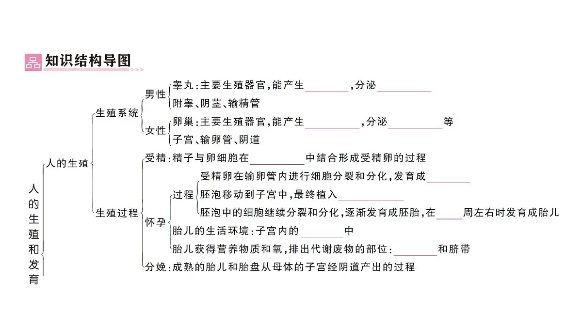 初中生物新人教版七年级下册第四单元第一章总结训练作业课件2025春第2页