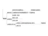 初中生物新人教版七年級下冊第四單元第一章總結(jié)訓(xùn)練作業(yè)課件2025春