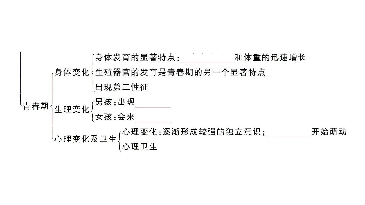初中生物新人教版七年级下册第四单元第一章总结训练作业课件2025春第3页