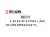 初中生物新人教版七年級下冊第四單元第一章總結(jié)訓(xùn)練作業(yè)課件2025春