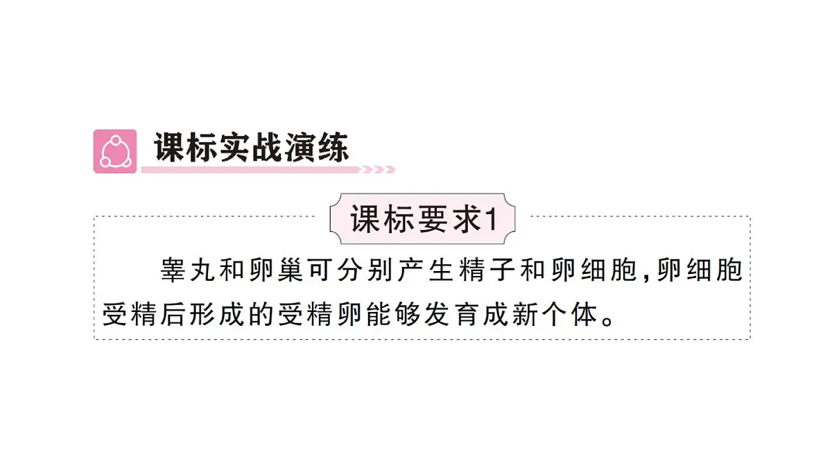 初中生物新人教版七年级下册第四单元第一章总结训练作业课件2025春第4页