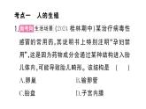 初中生物新人教版七年級下冊第四單元第一章總結(jié)訓(xùn)練作業(yè)課件2025春