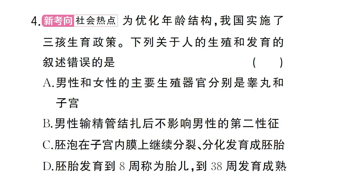 初中生物新人教版七年级下册第四单元第一章总结训练作业课件2025春第8页