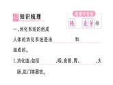 初中生物新人教版七年級下冊第四單元第二章第二節(jié)第一課時(shí) 食物的消化作業(yè)課件2025春