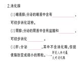 初中生物新人教版七年級下冊第四單元第二章第二節(jié)第一課時(shí) 食物的消化作業(yè)課件2025春