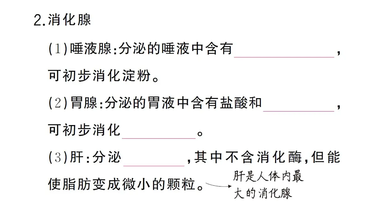 初中生物新人教版七年级下册第四单元第二章第二节第一课时 食物的消化作业课件2025春第3页