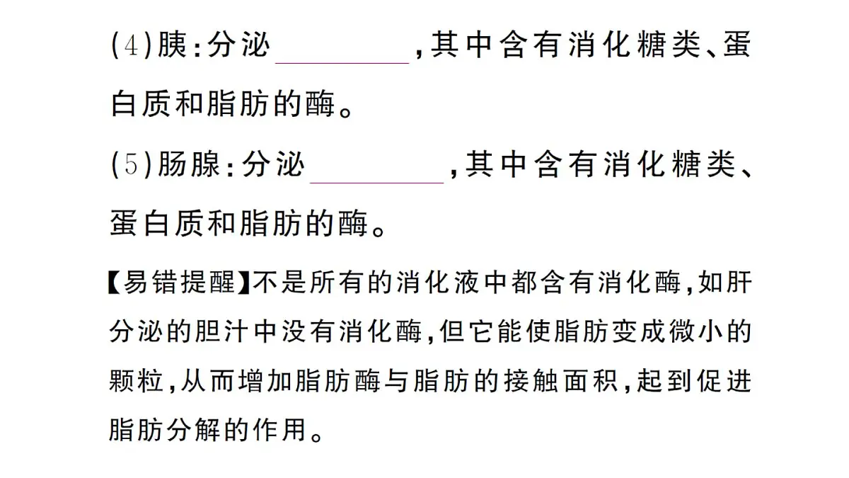 初中生物新人教版七年级下册第四单元第二章第二节第一课时 食物的消化作业课件2025春第4页