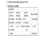 初中生物新人教版七年級下冊第四單元第二章第二節(jié)第一課時(shí) 食物的消化作業(yè)課件2025春