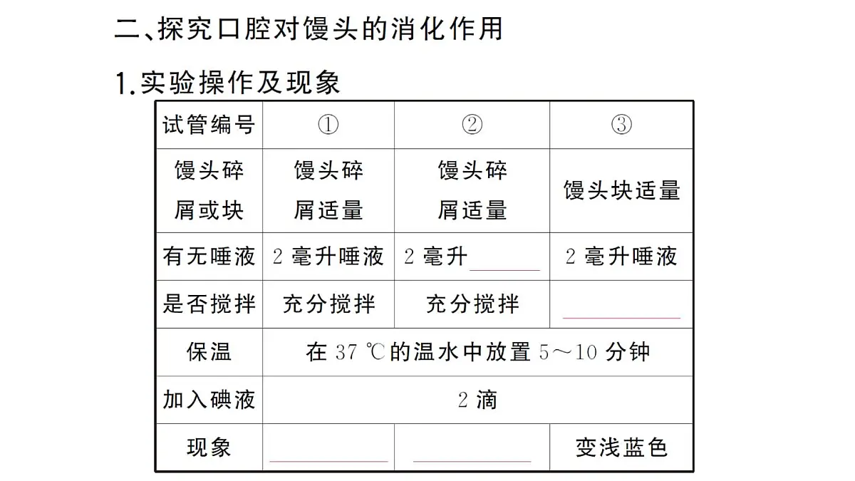 初中生物新人教版七年级下册第四单元第二章第二节第一课时 食物的消化作业课件2025春第5页