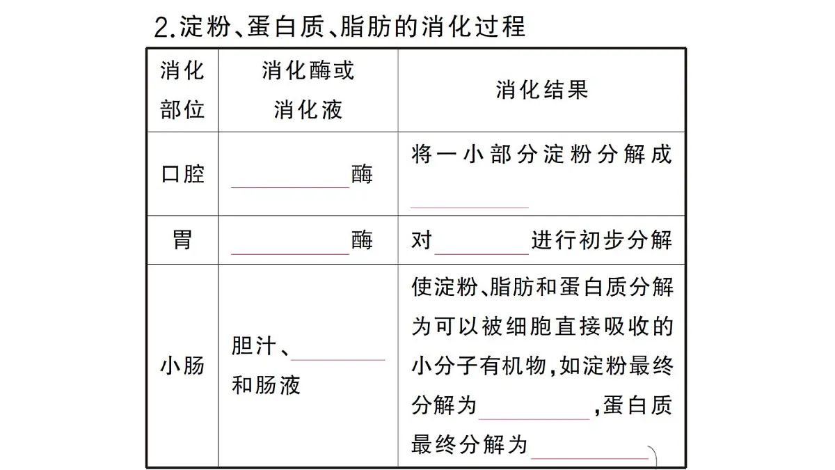 初中生物新人教版七年级下册第四单元第二章第二节第一课时 食物的消化作业课件2025春第8页