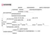初中生物新人教版七年級(jí)下冊(cè)第四單元第二章總結(jié)訓(xùn)練作業(yè)課件2025春