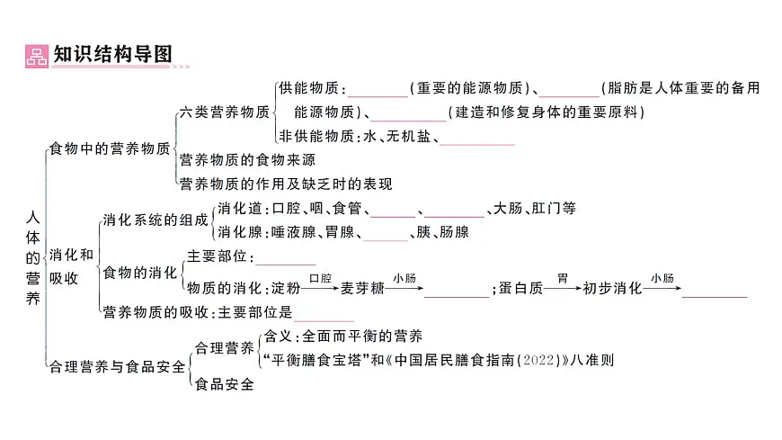 初中生物新人教版七年级下册第四单元第二章总结训练作业课件2025春第2页