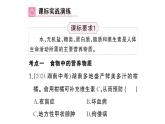 初中生物新人教版七年級(jí)下冊(cè)第四單元第二章總結(jié)訓(xùn)練作業(yè)課件2025春