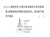 初中生物新人教版七年級(jí)下冊(cè)第四單元第二章總結(jié)訓(xùn)練作業(yè)課件2025春