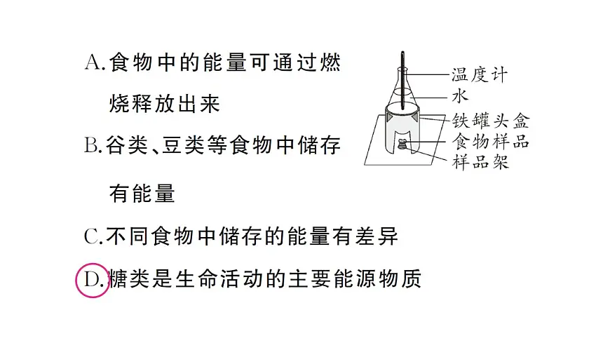 初中生物新人教版七年级下册第四单元第二章总结训练作业课件2025春第6页