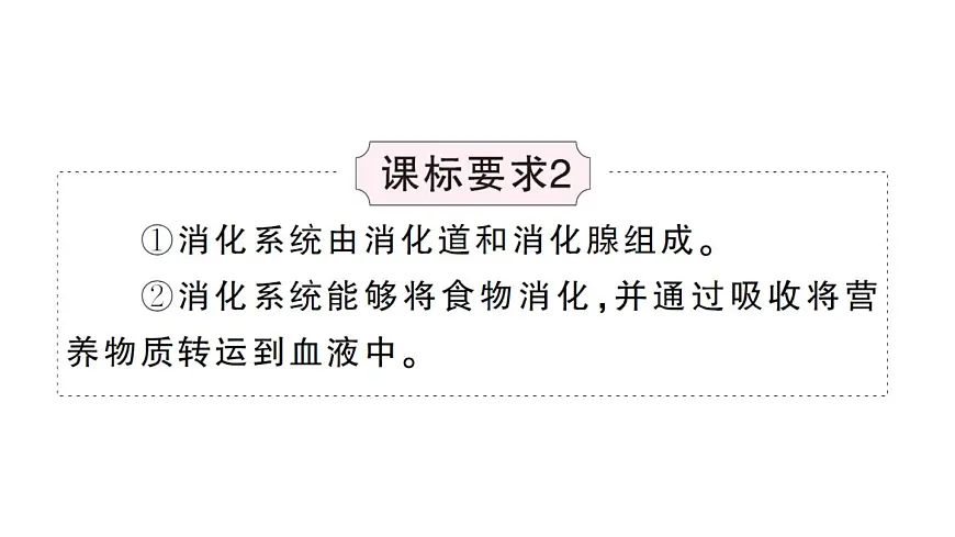初中生物新人教版七年级下册第四单元第二章总结训练作业课件2025春第7页